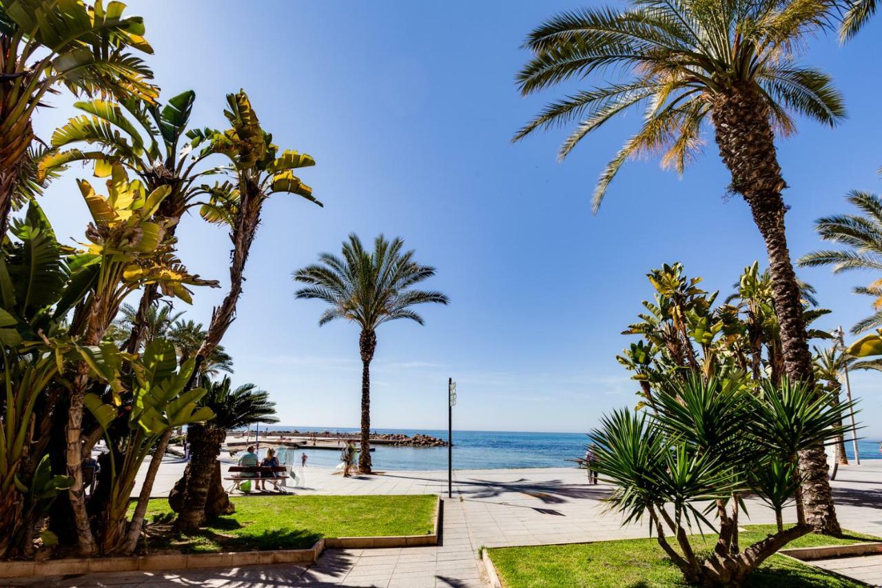 Apartment Concordia Τορεβιέχα Εξωτερικό φωτογραφία